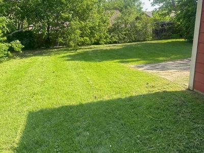 Lawn Care service in Dedham, 02026