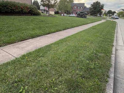 Lawn Care service in Steubenville, 43952