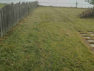 Lawn Care service in Romeoville, 60446
