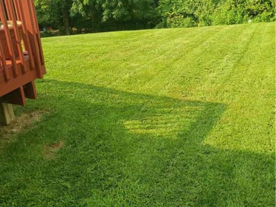 Lawn Care service in Bridgeton, 08302