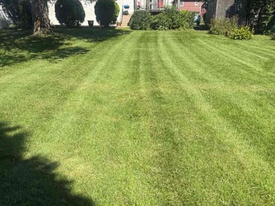 Lawn Care service in Phoenixville, 19460