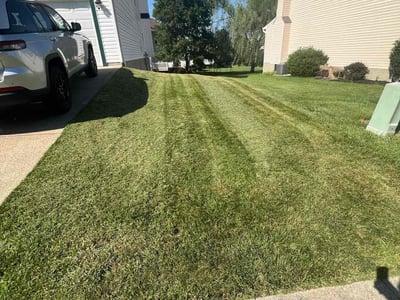 Lawn Care service in McKees Rocks, 15136