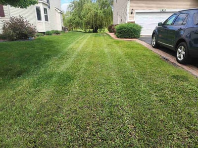 Lawn Care service in Joliet, 60432