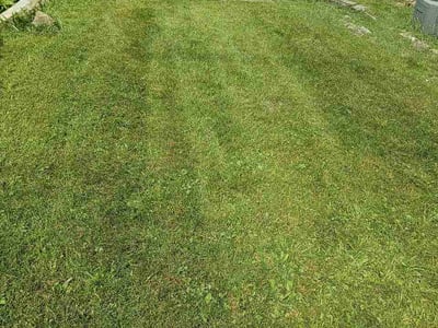 Lawn Care service in McKees Rocks, 15136
