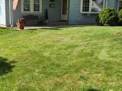 Lawn Care service in Des Plaines, 60016