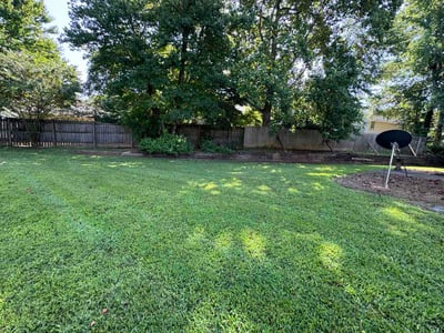 Lawn Care service in Opelika, 36801