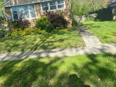 Lawn Care service in Des Plaines, 60016