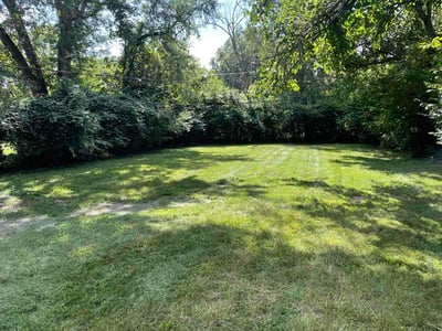 Lawn Care service in Big Bear Lake, 92315