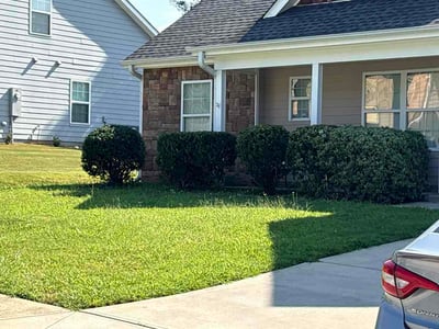 Lawn Care service in Big Bear Lake, 92315