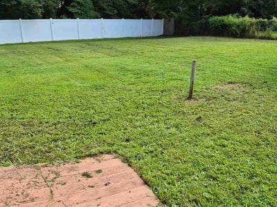Lawn Care service in Monroeville, 15146
