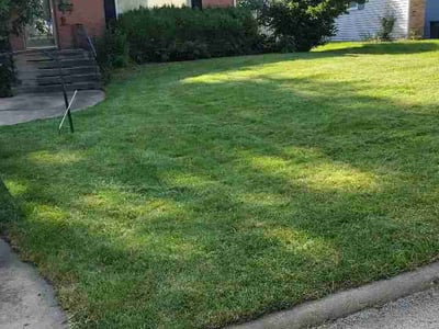 Lawn Care service in Dyer, 46311