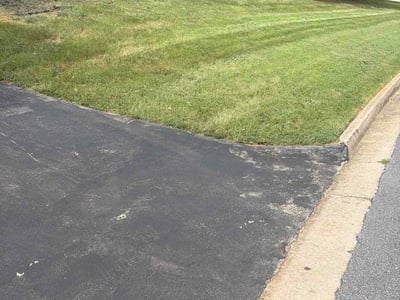 Lawn Care service in Somerville, 02143
