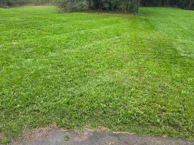 Lawn Care service in Battle Creek, 49017