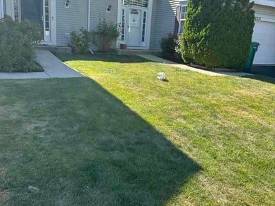 Lawn Care service in Plainfield, 60544