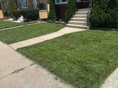 Lawn Care service in Elmhurst, 60126