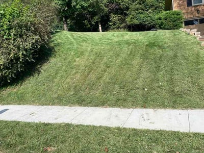 Lawn Care service in Council Bluffs, 51501