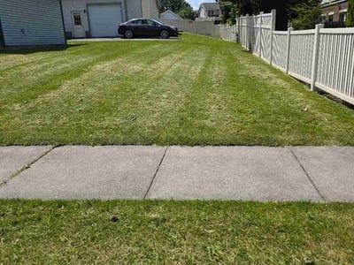 Lawn Care service in Victor, 14564