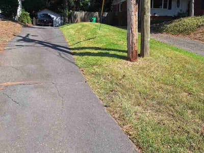 Lawn Care service in Davidson, 28036