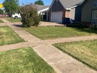 Lawn Care service in Bakersfield, 93301