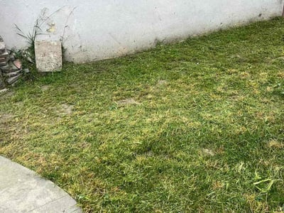 Lawn Care service in Bell Gardens, 90201