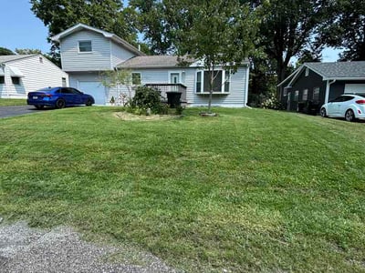Lawn Care service in Carbondale, 62901