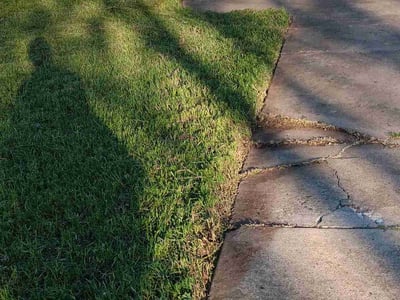 Lawn Care service in Bakersfield, 93301