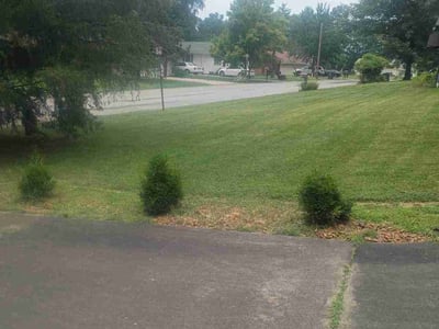 Lawn Care service in Carbondale, 62901
