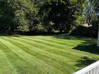 Lawn Care service in Norwood, 02062