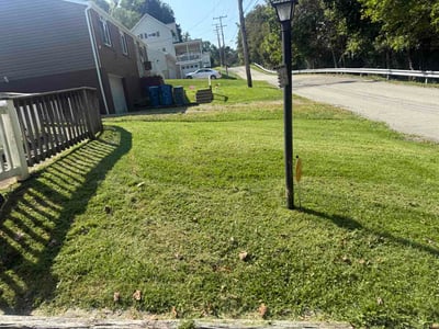 Lawn Care service in Valencia, 16059