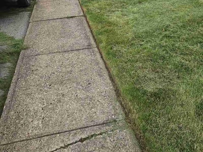 Lawn Care service in Valencia, 16059