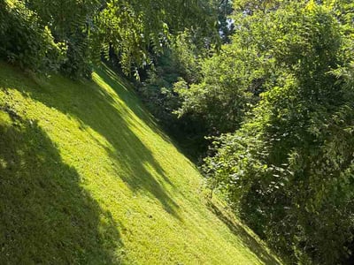 Lawn Care service in Irondeqoit, 14622
