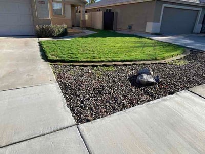 Lawn Care service in Chandler, 85225