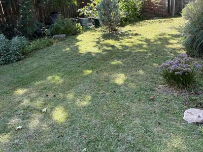 Lawn Care service in Jennings, 63136