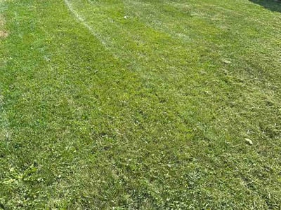 Lawn Care service in West Mifflin, 15122