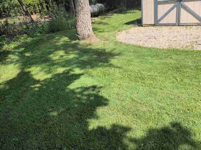 Lawn Care service in Franklin, 02038