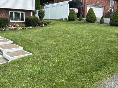 Lawn Care service in West Mifflin, 15122
