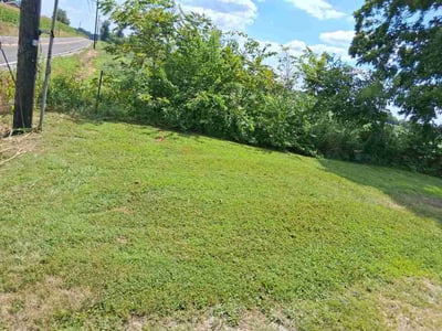 Lawn Care service in Ross Township, 15237