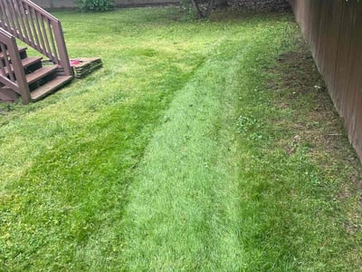 Lawn Care service in Franklin, 02038