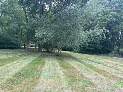 Lawn Care service in Abington, 02351