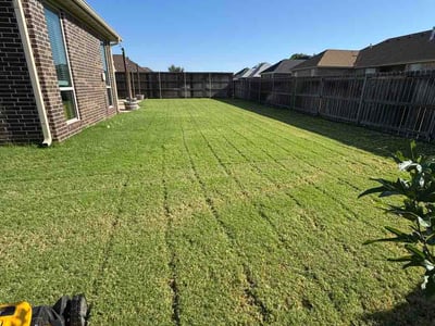Lawn Care service in Wichita Falls, 76301