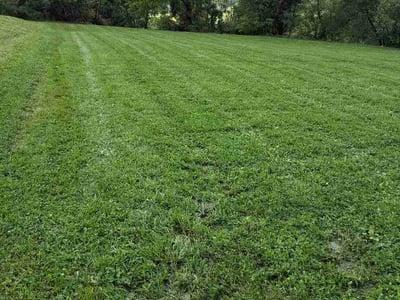 Lawn Care service in Duquesne, 15110