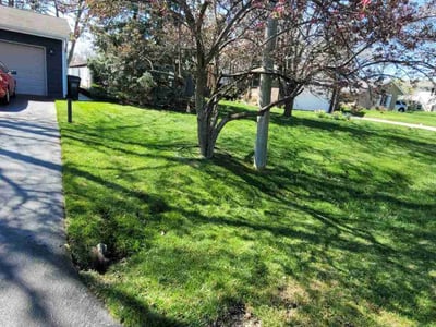 Lawn Care service in Frankfort, 60423
