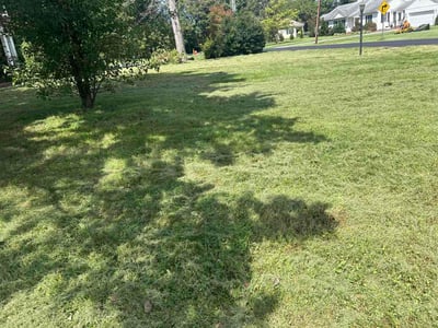 Lawn Care service in Beaver Falls, 15010