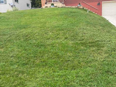 Lawn Care service in Bridgeville, 15017