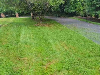 Lawn Care service in Bridgeville, 15017
