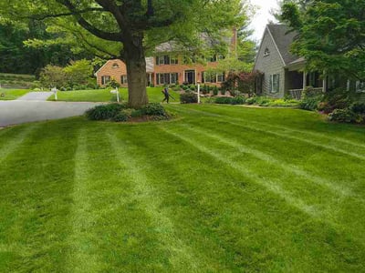 Lawn Care service in Denver, 17517