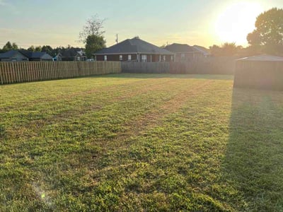 Lawn Care service in Toney, 35773
