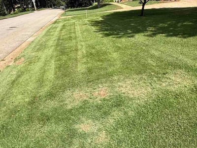 Lawn Care service in Toney, 35773