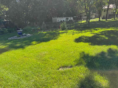 Lawn Care service in Monticello, 55362