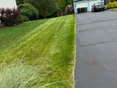 Lawn Care service in Souderton, 18964